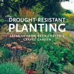 Drought Resistant Planting: Lessons from Beth Chatto&#039;s Gravel Garden