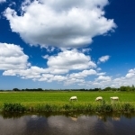 Het Weer in Nederland HD