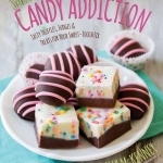 Sally&#039;s Candy Addiction: Tasty Truffles, Fudges &amp; Treats for Your Sweet-Tooth Fix