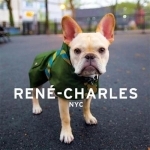 Rene-Charles: NYC: Little Bulldog in the Big City