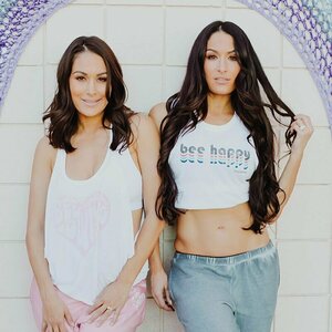 The Bella Twins