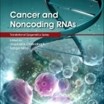Cancer and Noncoding Rnas