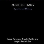 Auditing Teams: Dynamics and Efficiency