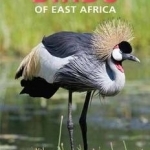 Pocket Guide: Birds of East Africa