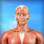 Muscle Trigger Points Massage Therapy