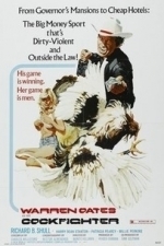 Cockfighter (1974)