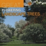 Great Flowering Landscape Trees