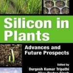 Silicon in Plants: Advances and Future Prospects