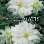 Choosing Your Clematis