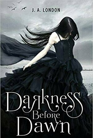 Darkness Before Dawn (Darkness Before Dawn, #1)