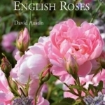 David Austin&#039;s English Roses