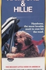 Hambone and Hillie (1984)
