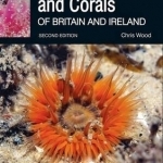 Sea Anemones and Corals of Britain and Ireland