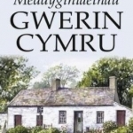 Meddygaeth Gwerin Cymru