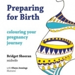 Preparing for Birth: Colouring Your Pregnancy Journey