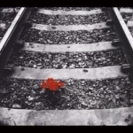 Tracks by Left on Red