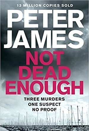 Not Dead Enough (Roy Grace, #3)