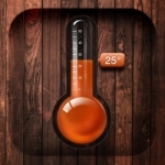 Thermometer Realtime tracker
