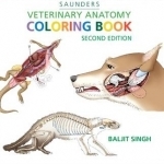 Veterinary Anatomy Coloring Book