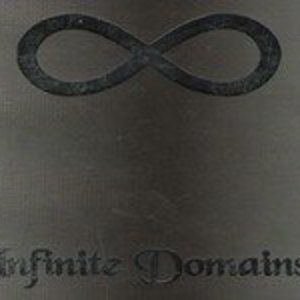 Infinite Domains