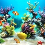 Aquarium Wallpapers | Backgrounds