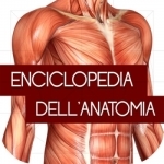 Enciclopedia dell&#039;ANATOMIA