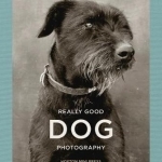 Really Good Dog Photography