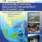 Redefining Diversity and Dynamics of Natural Resources Management in Asia: Sustainable Natural Resources Management in Dynamic Asia: Volume 1