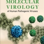 Molecular Virology of Human Pathogenic Viruses