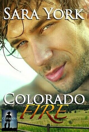 Colorado Fire (Colorado Protectors #2)