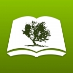 Bible by Olive Tree