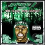 Playa Rich Project by Spice 1