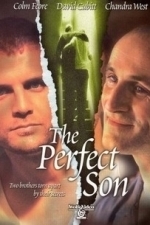 The Perfect Son (2002)