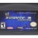 WWE Survivor Series 