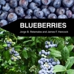 Blueberries