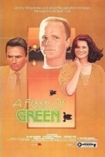 A Flash Of Green (1984)