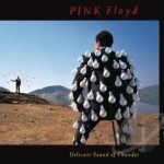 Delicate Sound of Thunder by Pink Floyd