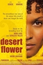 Desert Flower (2011)