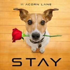 Stay by 11 Acorn Lane