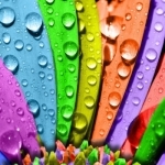 Rainbow Wallpapers HD for Home &amp; Lock Screens Free