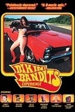 Bikini Bandits Experience (2003)