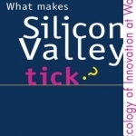 What Makes Silicon Valley Tick: The Ecology of Innnovation at Work