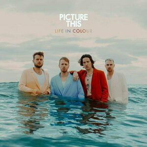 Life in Colour by Picture This