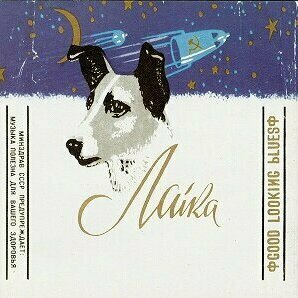 Good Looking Blues by Laika