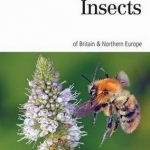 Naturalist&#039;s Guide to the Insects of Britain &amp; Northern Ireland