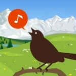 Chirp! Bird Songs &amp; Calls of Britain and Europe +