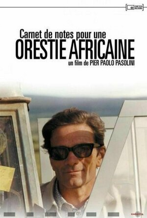 Notes Towards an African Orestes (1970)