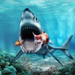 Great White Shark Attack Sim