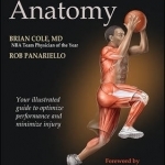 Basketball Anatomy