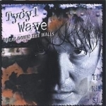 Break Down the Walls by Tydyl Wave